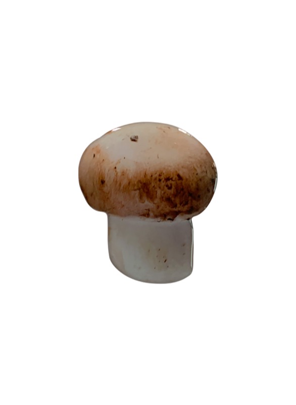 Mushroom tok