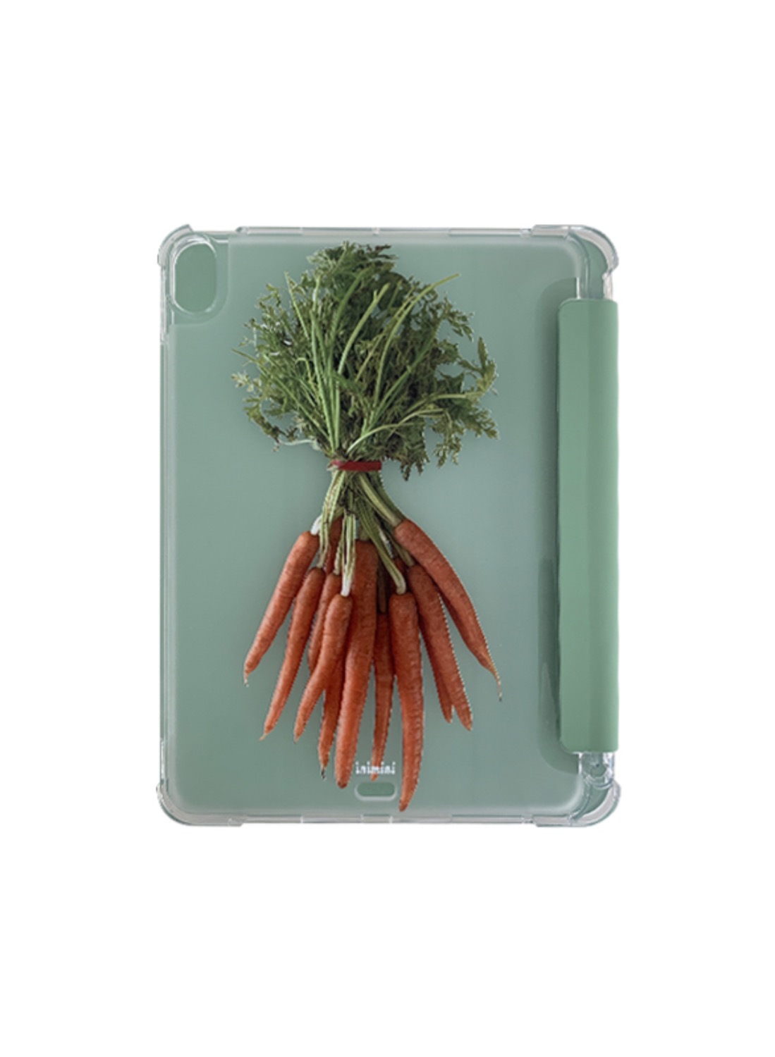 carrot  ipad case
